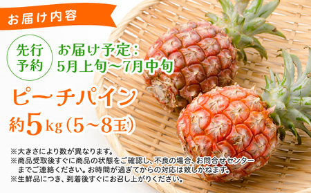 《2026年先行予約》ピーチパイン 約5kg 5~8玉 農園ファイミール 完熟 果物 フルーツ