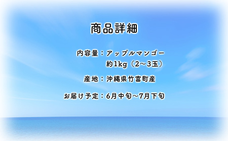 2025年 先行予約 アップルマンゴー 約1kg 2～3玉 セット 八重山マンゴー品評会総合1位を計3回獲得！高糖度保証！農園ファイミール 濃厚 果物 フルーツ 果物 ﾏﾝｺﾞｰ ﾃﾞｻﾞｰﾄ 