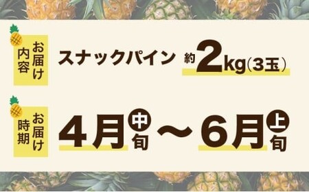 スナックパイン 約2kg
