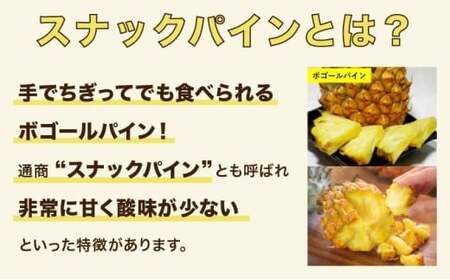 スナックパイン 約7kg 