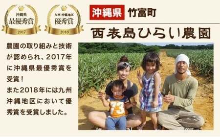 スナックパイン 約7kg 