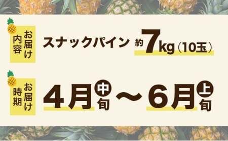 スナックパイン 約7kg 