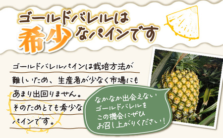 2026年 先行予約 パイン ゴールドバレル 約3kg 2~4玉 ますみ農園 甘み たっぷり パイナップル 果物 フルーツ
