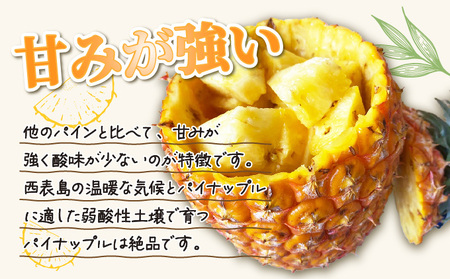 2026年 先行予約 パイン ゴールドバレル 約3kg 2~4玉 ますみ農園 甘み たっぷり パイナップル 果物 フルーツ