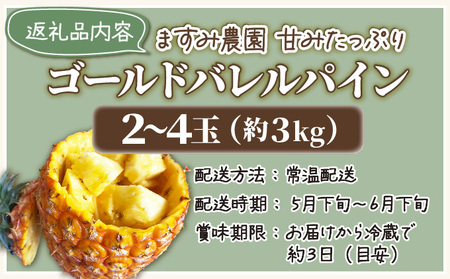 2026年 先行予約 パイン ゴールドバレル 約3kg 2~4玉 ますみ農園 甘み たっぷり パイナップル 果物 フルーツ
