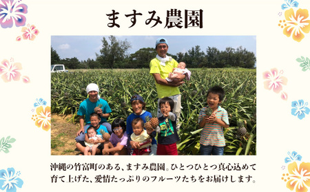 2026年 先行予約 アップルマンゴー 約4kg (8～12玉) 完熟 マンゴー ますみ農園 果物 フルーツ