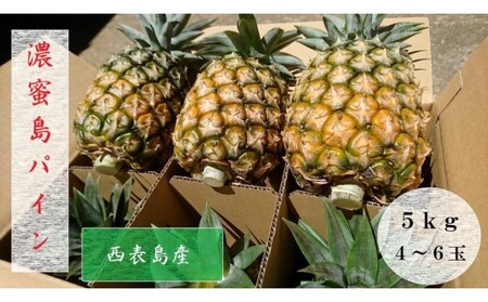 2024年 まもなく受付終了!! 先行予約 島パイン (ハワイ種) 約5kg 4～6玉 ますみ農園 ”蜜たっぷり” パイン パイナップル 果物 フルーツ ﾊﾟｲﾝ 果物 ﾌﾙｰﾂ　ﾊﾟｲﾝ 果物 ﾌﾙｰﾂ ﾊﾟｲﾝ 果物 ﾌﾙｰﾂ ﾊﾟｲﾝ 果物 ﾌﾙｰﾂ ﾊﾟｲﾝ 果物 ﾌﾙｰﾂ ﾊﾟｲﾝ 果物 ﾌﾙｰﾂ ﾊﾟｲﾝ 果物 ﾌﾙｰﾂ ﾊﾟｲﾝ 果物 ﾌﾙｰﾂ