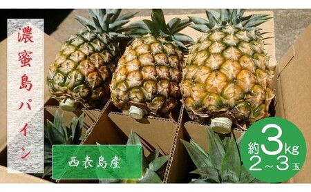 2024年 先行予約 島パイン (ハワイ種) 約3kg 2～3玉 ますみ農園 “蜜たっぷり” パイン パイナップル 果物 フルーツ