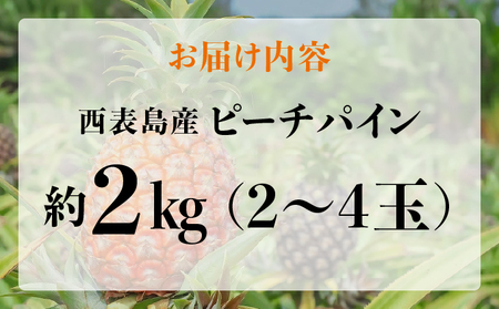 アララガマ農園発祥のピーチパイン。香り高く女性人気NO.1！国内流通量1％未満、幻の完熟ピーチパイン　ピーチパイン2kg（2～4玉）
