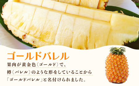 2026年 先行予約 最高級 パイン 完熟 ゴールドバレル 1.0kg以上 大玉1玉 果物 フルーツ パイナップル