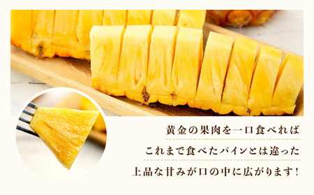 2026年 先行予約 最高級 パイン 完熟 ゴールドバレル 1.0kg以上 大玉1玉 果物 フルーツ パイナップル