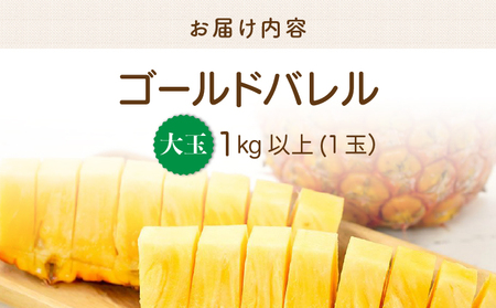 2026年 先行予約 最高級 パイン 完熟 ゴールドバレル 1.0kg以上 大玉1玉 果物 フルーツ パイナップル