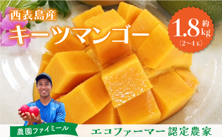 2026年 先行予約 マンゴー 約1.8kg 2～4玉 希少品種 濃密 キーツマンゴー 高糖度保証！農園ファイミール 果物 フルーツ