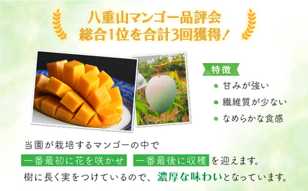 2026年 先行予約 マンゴー 約1.8kg 2～4玉 希少品種 濃密 キーツマンゴー 高糖度保証！農園ファイミール 果物 フルーツ