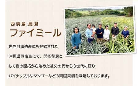 2026年 先行予約 マンゴー 約1.8kg 2～4玉 希少品種 濃密 キーツマンゴー 高糖度保証！農園ファイミール 果物 フルーツ