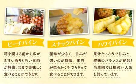 定期便 5回 パイナップル マンゴー