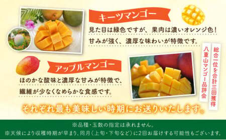 定期便 5回 パイナップル マンゴー