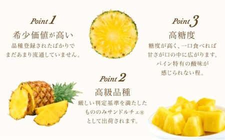 熟鮮サンドルチェ(R) 3kg(2～3玉 )