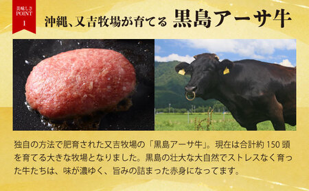 ハンバーグ 牛肉 100% 黒島 アーサ牛 150g×10個 セット