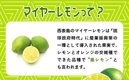 果汁たっぷり マイヤーレモン（島レモン）約5kg