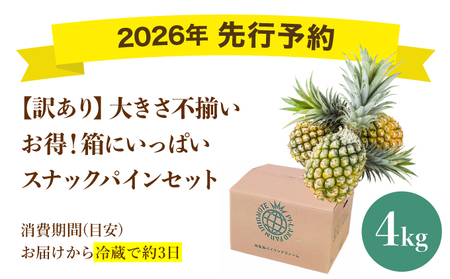 <訳あり!>2026年先行予約 大きさ不揃いお得!箱にいっぱいスナックパイン4kgセット