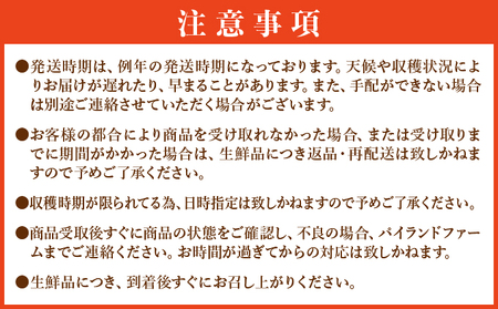 <訳あり!>2026年先行予約 大きさ不揃いお得!箱にいっぱいスナックパイン4kgセット