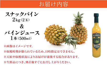 2026年 先行予約 熟鮮スナックパイン2kg （2玉）と甘さをぎゅっと詰め込んだ100％ パイナップルジュース 1本