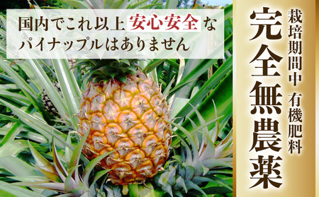 2025年 先行予約 パイナップル ついに実現！栽培期間中 完全有機 無農薬 アナナスピーチ 約3kg 3～6玉 果物 フルーツ