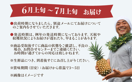 2025年 先行予約 パイナップル ついに実現！栽培期間中 完全有機 無農薬 アナナスピーチ 約3kg 3～6玉 果物 フルーツ