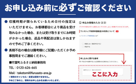 2025年 先行予約 パイナップル ついに実現！栽培期間中 完全有機 無農薬 アナナスピーチ 約3kg 3～6玉 果物 フルーツ