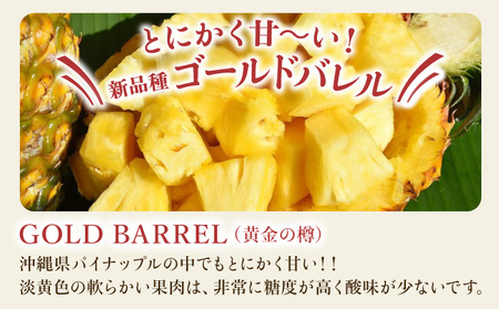 【JASオーガニック】 プレミアムゴールドバレル 約2kg 1～3玉 023-a008_2026