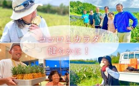 ☆新感覚の味わい☆桃のような芳醇な香りのする　『西表島産完熟ピーチパイン』約1.6kg（2～3個入）