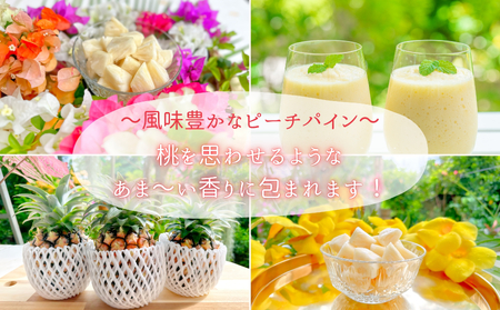 ☆新感覚の味わい☆桃のような芳醇な香りのする　『西表島産完熟ピーチパイン』 約1.4kg（2～3個入）