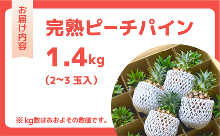 ☆新感覚の味わい☆桃のような芳醇な香りのする　『西表島産完熟ピーチパイン』 約1.4kg（2～3個入）