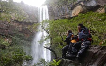 西表島マングローブビーチクリーン＋滝とカヤック 1名様