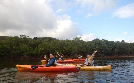 西表島マングローブビーチクリーン＋滝とカヤック・トレッキング 1名様
