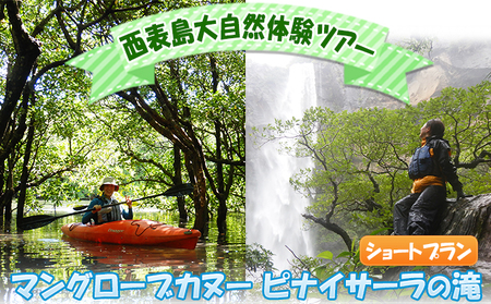 西表島マングローブカヌー＋ピナイサーラの滝 ショートプラン 1名様