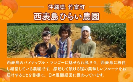 マンゴー 先行予約 沖縄 アップルマンゴー 約4kg 8玉～12玉 西表島 ひらい農園 2026年 発送 果物 フルーツ デザート 完熟 濃厚 027-a027_2026