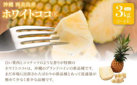 希少パイナップル　ホワイトココ小玉6〜8玉入り 希少パイナップル ホワイトココ小玉6〜8玉入り パイナップル ホワイト