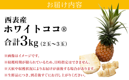 リピーター続出の希少種パイン！　数量限定販売　先行予約　パイナップル　沖縄　西表島　熟鮮ホワイトココ(R)　3㎏　2～3玉　ココナッツに似た香り　果物　フルーツ　デザート