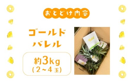 パイナップル ゴールドバレル 約3kg