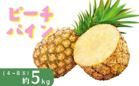 パイナップル ピーチパイン 約5kg 4～8玉 パイン 果物 フルーツ 沖縄 西表島【TOK:iふぁーむ】 配送不可：離島