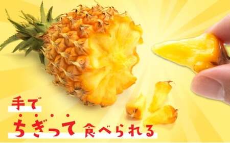 パイナップル スナックパイン 約5kg