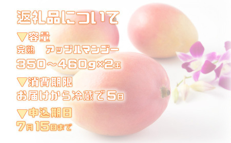 2026年 先行予約 完熟 アップルマンゴー 2L 350g～460g 2玉 マンゴー 果物 デザート 品評会連続入賞2026年 発送 ますみ農園