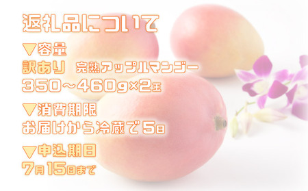 訳あり 完熟 アップルマンゴー 2L 350g～460g 2玉 マンゴー 果物 デザート 品評会連続入賞 2024年 発送 ますみ農園