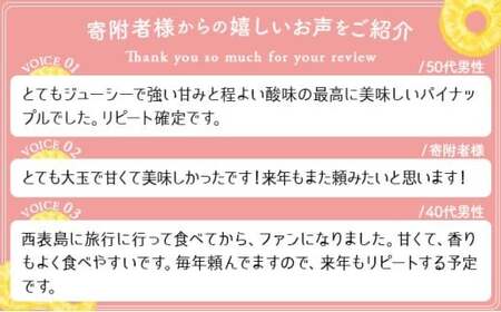 ピーチパイン 2玉 