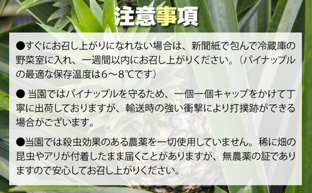 【2025年発送】リピータ続出！西表パイン園の蜜入り ピーチパイン 2kgセット