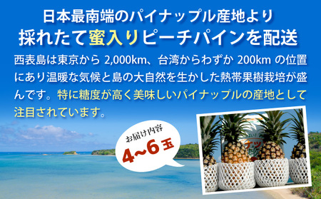 【2026年発送】リピータ続出！西表パイン園の蜜入り ピーチパイン4kgセット