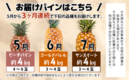 【2026年5月～7月（全3回発送）】南国の美味しさを！パイナップル 定期便 B