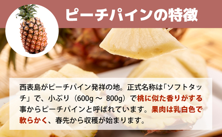 【2026年5月～7月（全3回発送）】南国の美味しさを！パイナップル 定期便 B